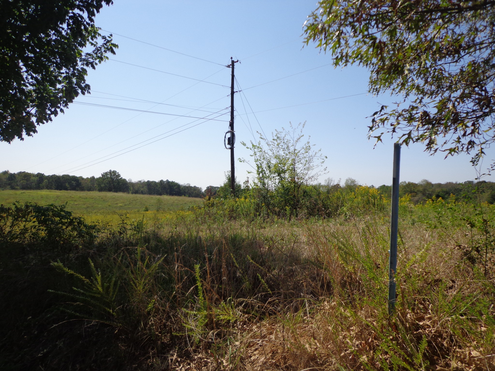 0 Dady Road McEwen, TN 37101 - Photo 3 of 5