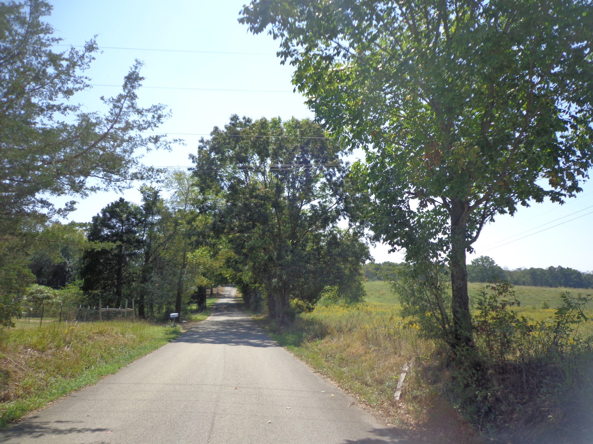 0 Dady Road McEwen, TN 37101 - Photo 5 of 5