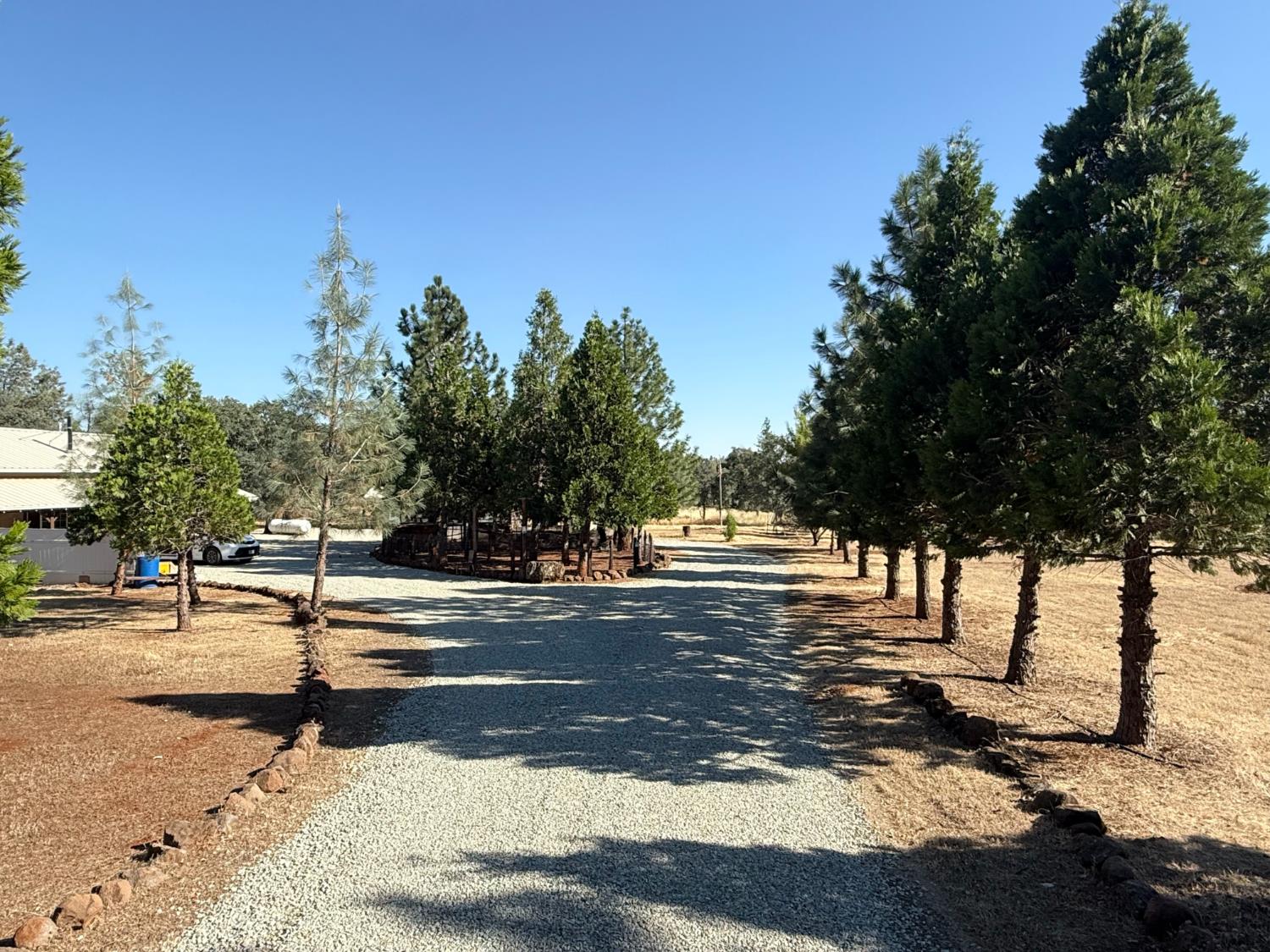 5000 Wilson Hill Road Manton, CA 96059 - Photo 53 of 63