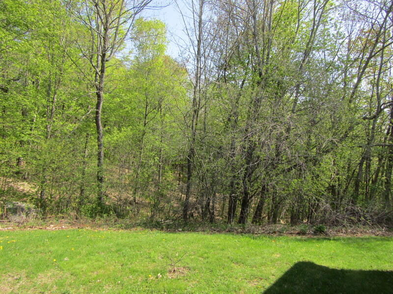 657 Brighton Hill Road Minot, ME 04258 - Photo 26 of 32 rt side woods