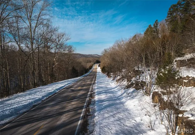 $97,500 | 0 Highway 49 Black Mo 63625, Black, MO 63625