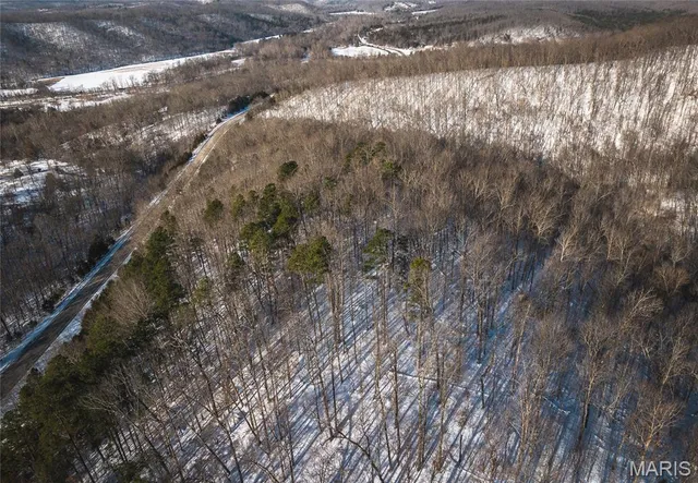 $97,500 | 0 Highway 49 Black Mo 63625, Black, MO 63625