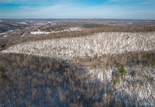 $97,500 | 0 Highway 49 Black Mo 63625, Black, MO 63625