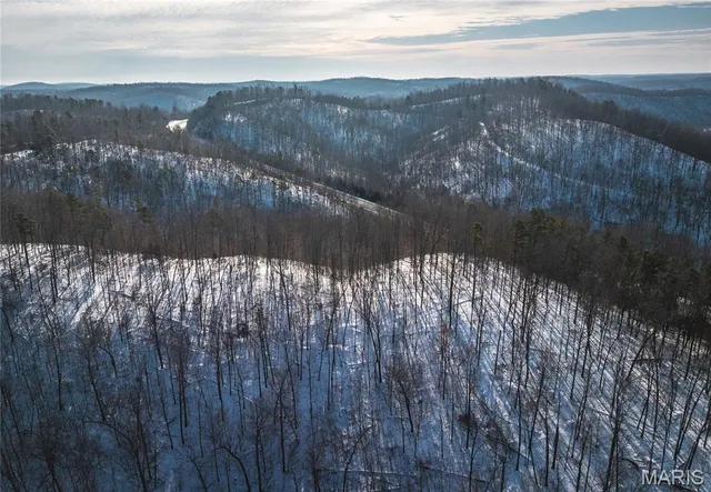 $97,500 | 0 Highway 49 Black Mo 63625, Black, MO 63625