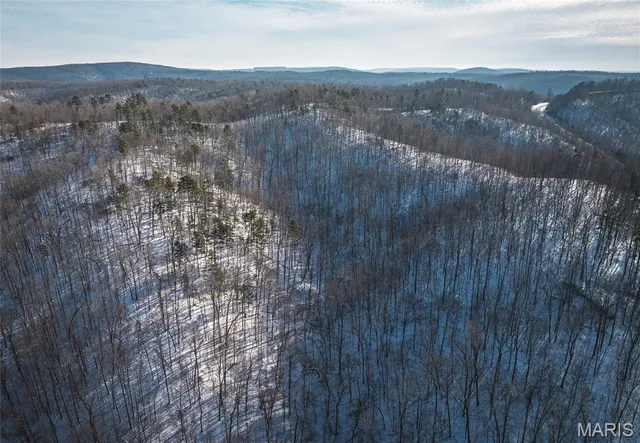 $97,500 | 0 Highway 49 Black Mo 63625, Black, MO 63625