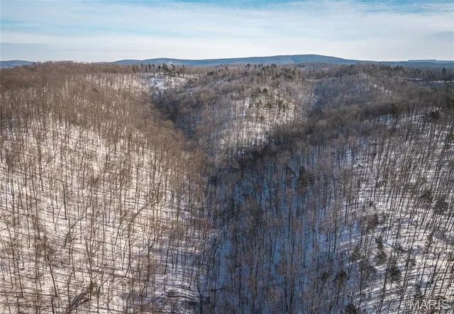 $97,500 | 0 Highway 49 Black Mo 63625, Black, MO 63625