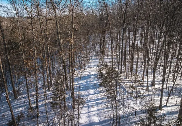 $97,500 | 0 Highway 49 Black Mo 63625, Black, MO 63625