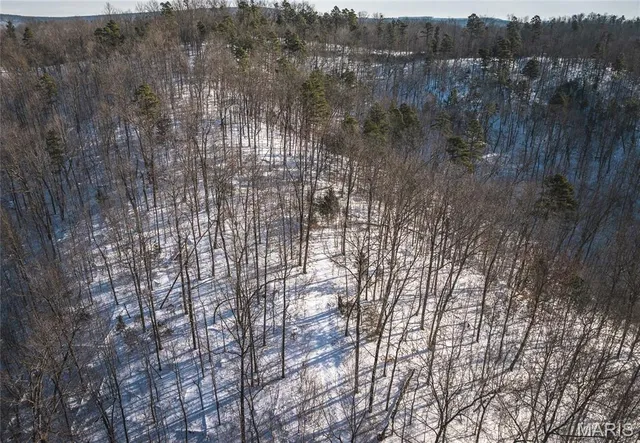 $97,500 | 0 Highway 49 Black Mo 63625, Black, MO 63625