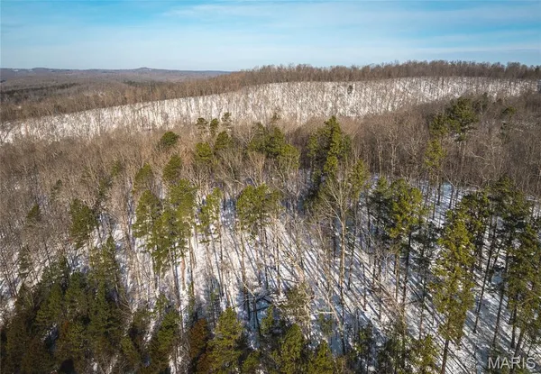 $97,500 | 0 Highway 49 Black Mo 63625, Black, MO 63625