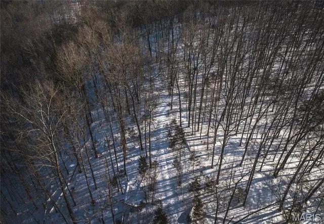 $97,500 | 0 Highway 49 Black Mo 63625, Black, MO 63625