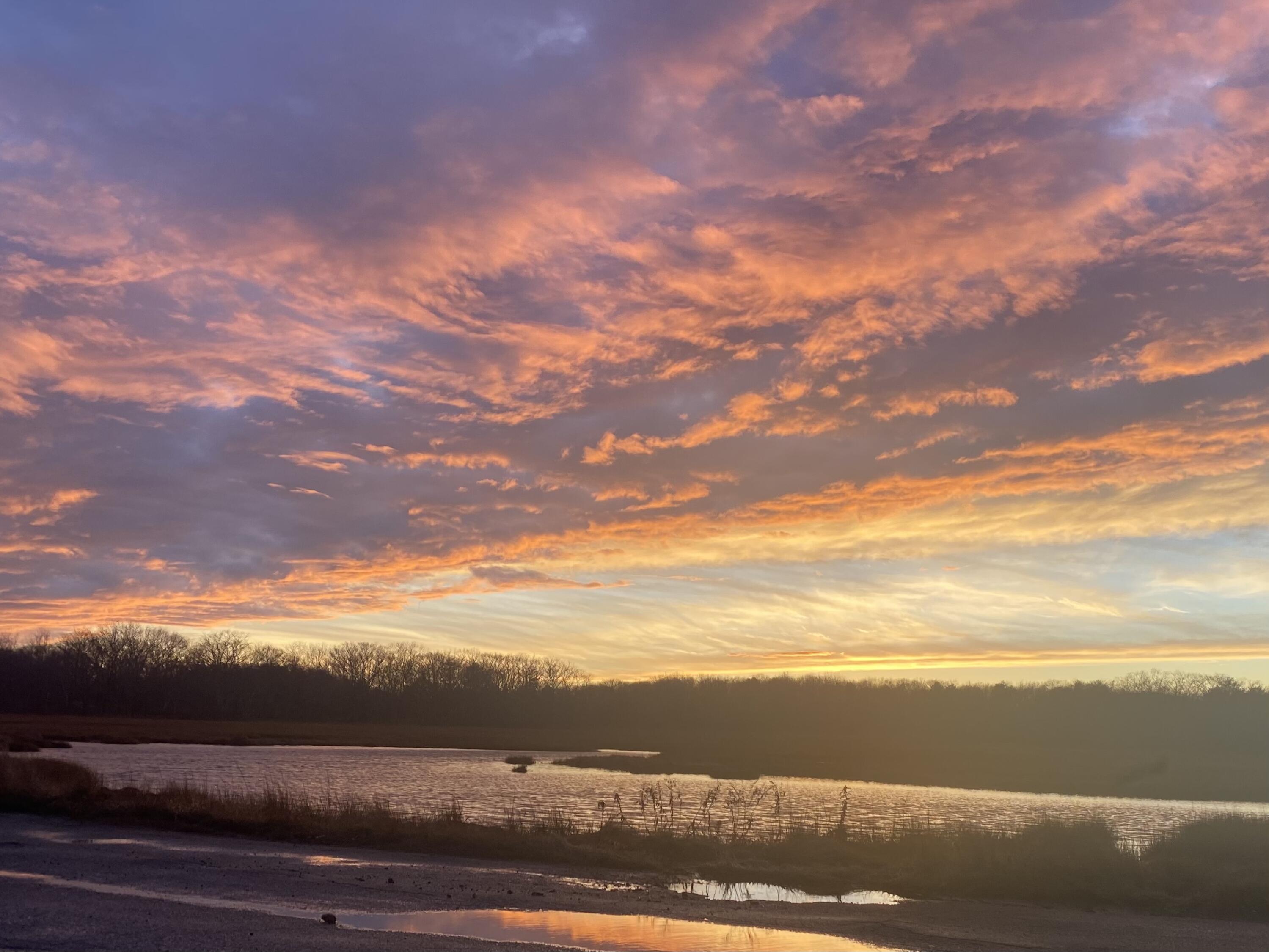 103 Marshall Point Road Kennebunkport, ME 04046 - Photo 30 of 36 Marsh View from the lot