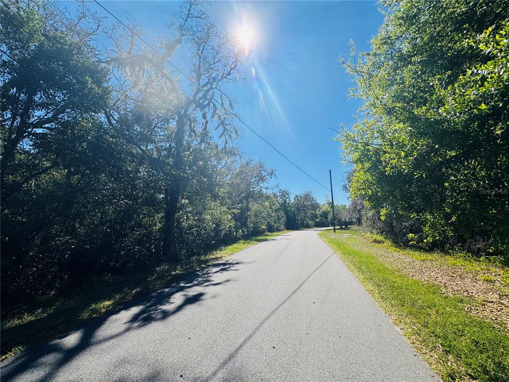 11340 Bessie Dix Road Seffner, FL 33584 - Photo 11 of 16