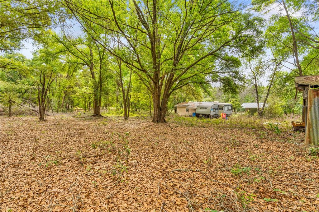 11340 Bessie Dix Road Seffner, FL 33584 - Photo 13 of 14 a backyard of a house with large trees