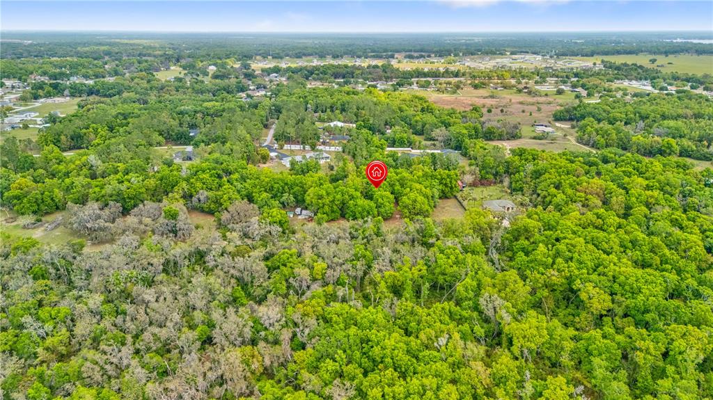 11340 Bessie Dix Road Seffner, FL 33584 - Photo 14 of 14 a view of a bunch of trees and a lush green field