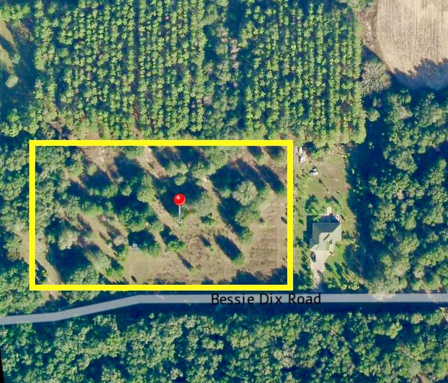 11340 Bessie Dix Road Seffner, FL 33584 - Photo 15 of 16