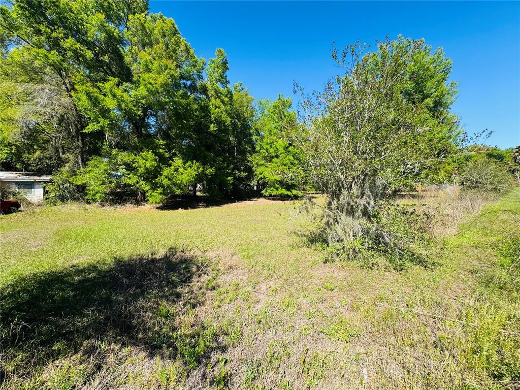 11340 Bessie Dix Road Seffner, FL 33584 - Photo 4 of 16