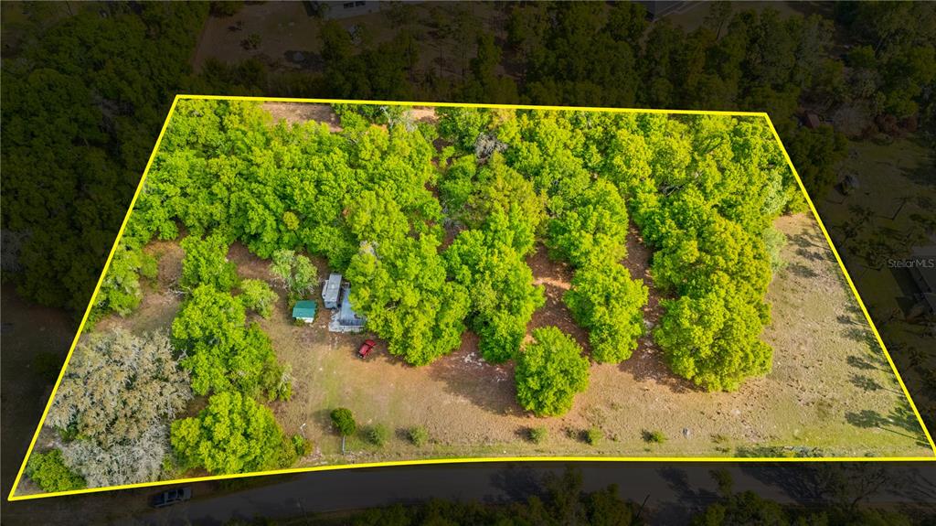 11340 Bessie Dix Road Seffner, FL 33584 - Photo 4 of 14