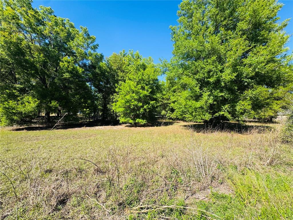 11340 Bessie Dix Road Seffner, FL 33584 - Photo 5 of 16