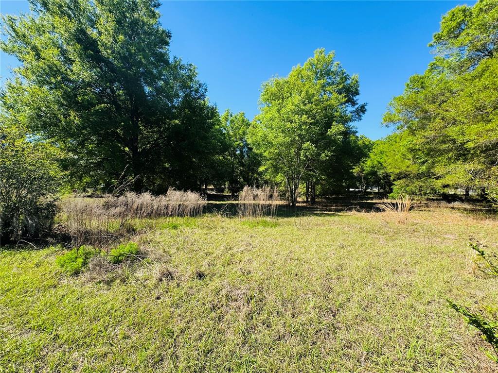 11340 Bessie Dix Road Seffner, FL 33584 - Photo 6 of 16