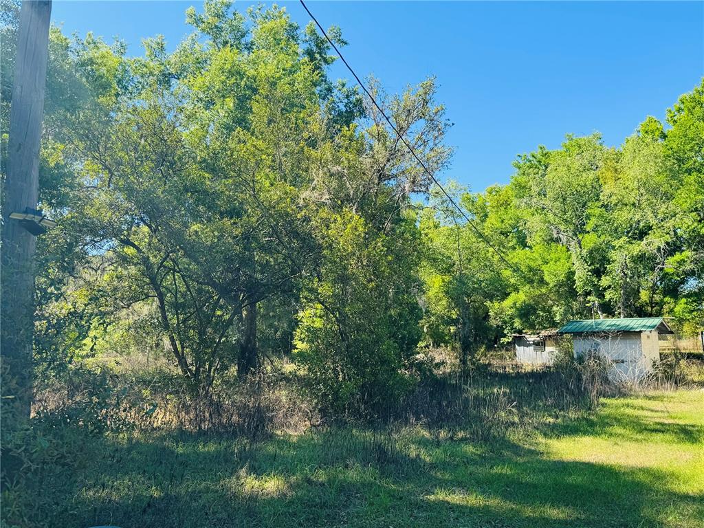 11340 Bessie Dix Road Seffner, FL 33584 - Photo 10 of 16