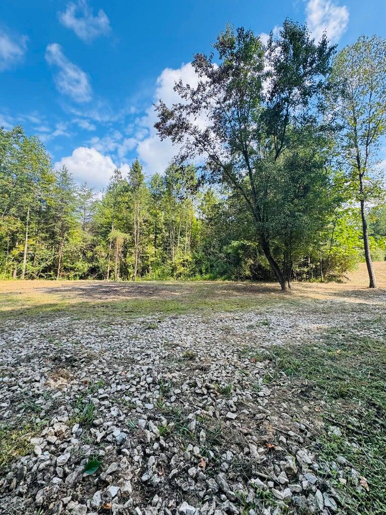 999 Reed Valley Road London, KY 40744 - Photo 7 of 9 20250903211144201292000000-o