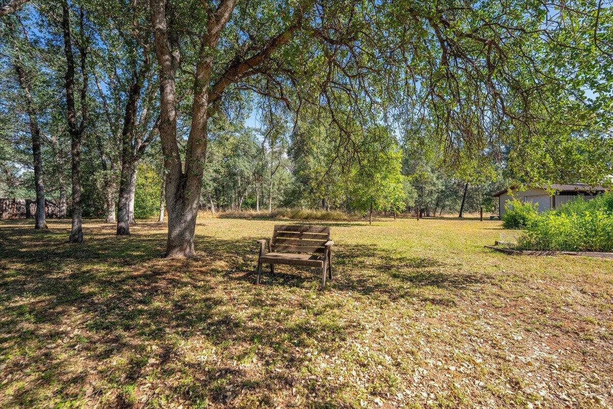 21880 Oak Meadow Road Palo Cedro, CA 96073 - Photo 53 of 79 Backyard
