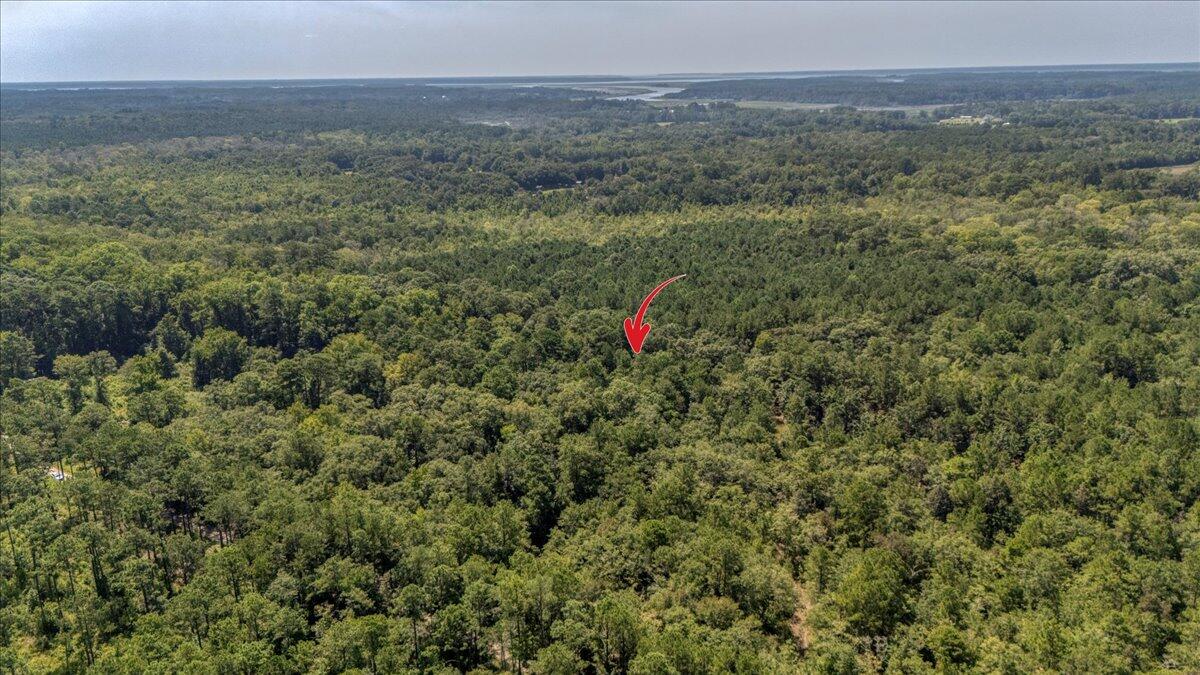 7799 Morris Bing Road Hollywood, SC 29449 - Photo 9 of 10 09-7799 Morris Bing Rd-9