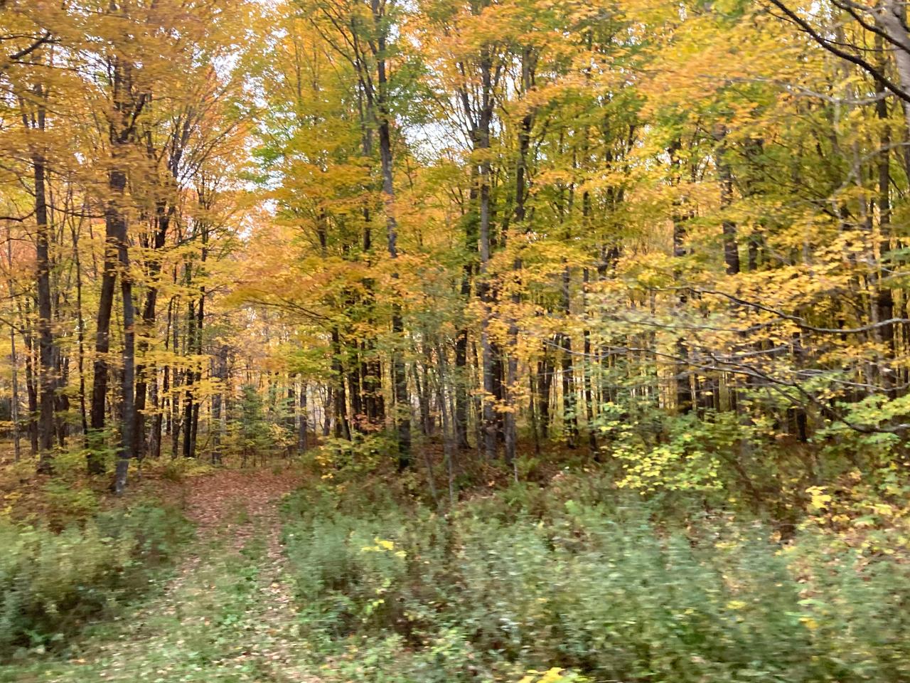 101 Old 101 Road, Unit 40 ACRES Armstrong Creek, WI 54103 - Photo 1 of 18 Gallery Image 1
