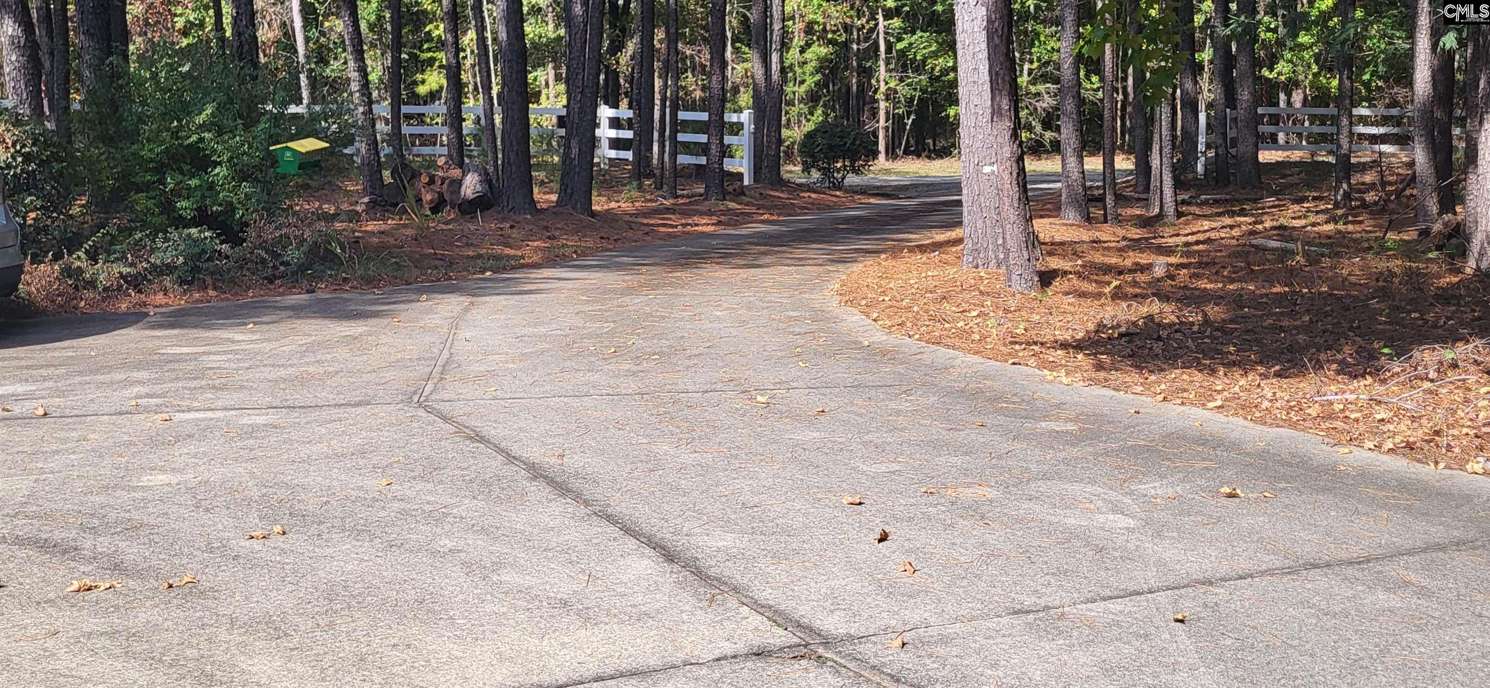 205 Sim Johnson Road Gilbert, SC 29054 - Photo 20 of 47