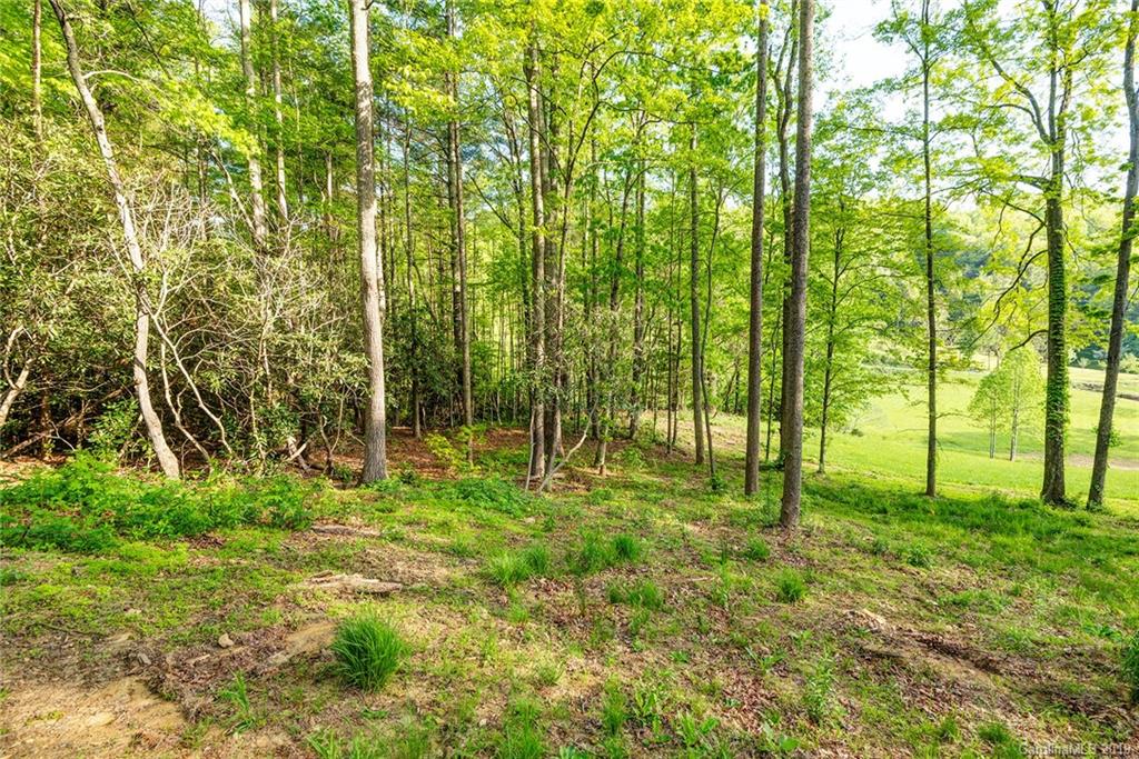 243 Bob Barnwell Road, Unit 2 Fletcher, NC 28732 - Photo 31 of 36 Gallery Image 31