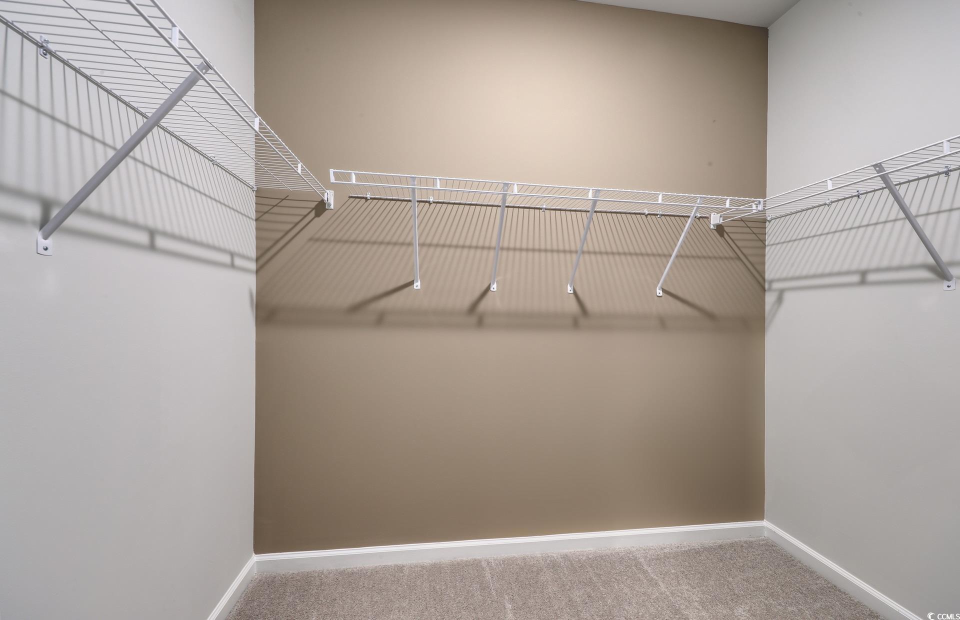 3081 Visionary Drive Myrtle Beach, SC 29588 - Photo 17 of 19 Walk in closet with light colored carpet