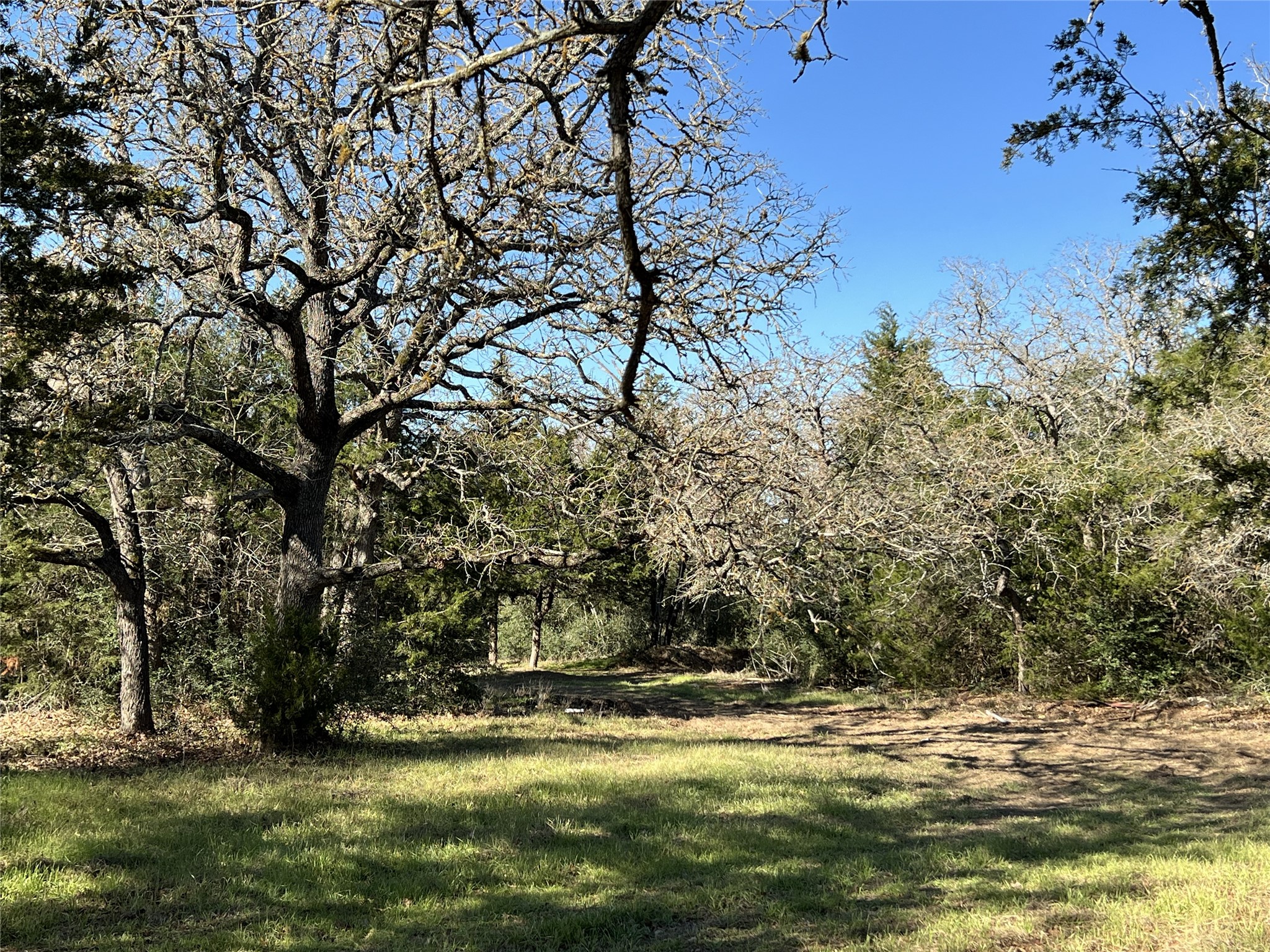 Tbd Rosanky Cattle Company Road Smithville, TX 78957 - Photo 1 of 40 a view of a yard with large trees