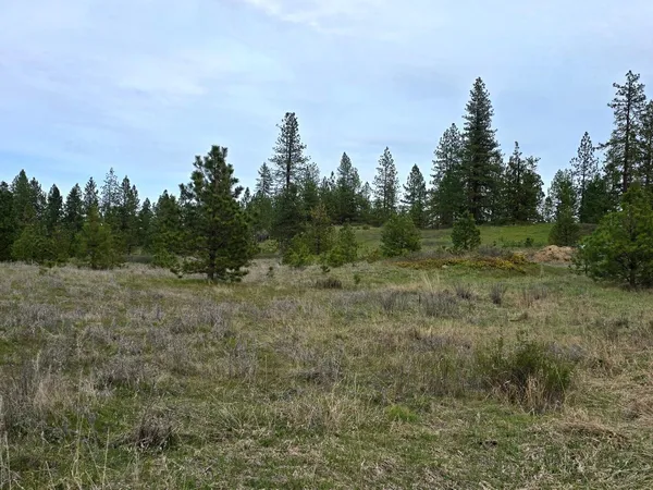 $215,000 | 44-xx Cole's Barn Way, Fruitland, WA 99129
