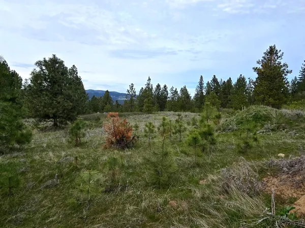 $215,000 | 44-xx Cole's Barn Way, Fruitland, WA 99129