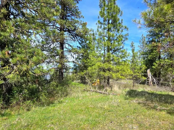 $215,000 | 44-xx Cole's Barn Way, Fruitland, WA 99129