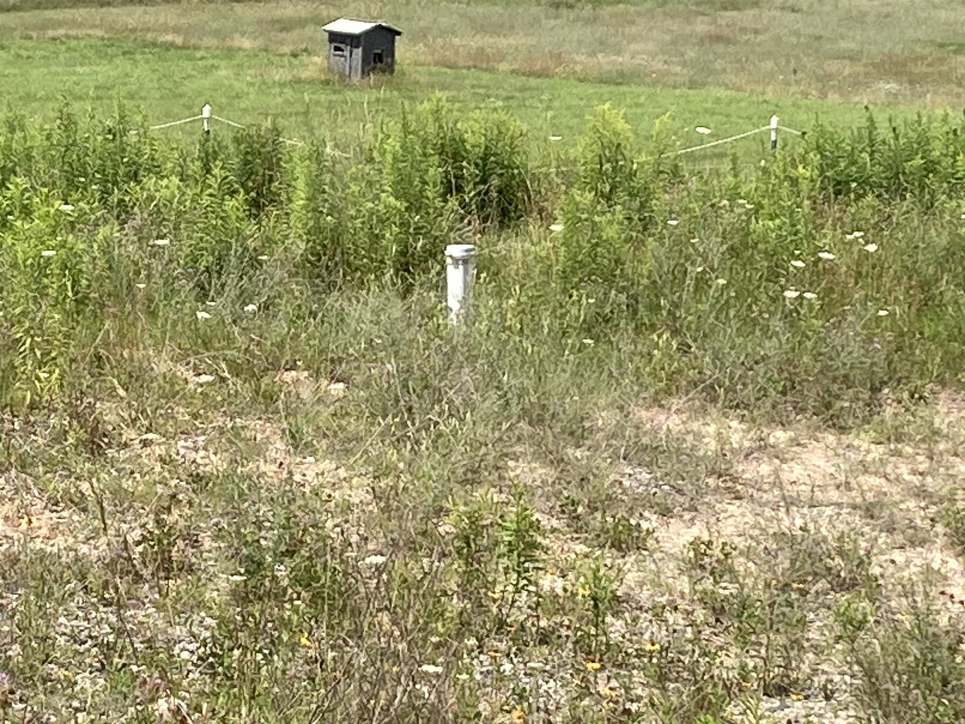 0 East Scribner Road Rose City, MI 48654 - Photo 6 of 19