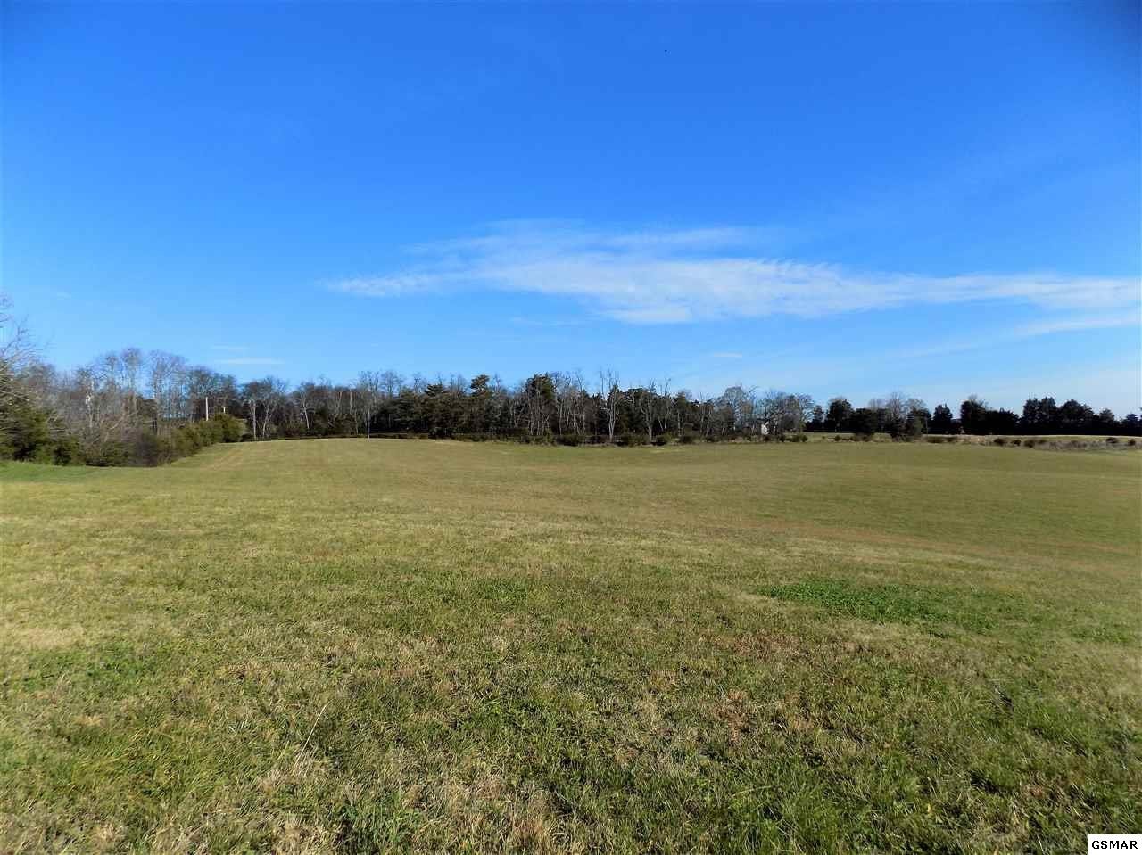 14 Coile Road Jefferson City, TN 37760 - Photo 15 of 32 Gallery Image 15