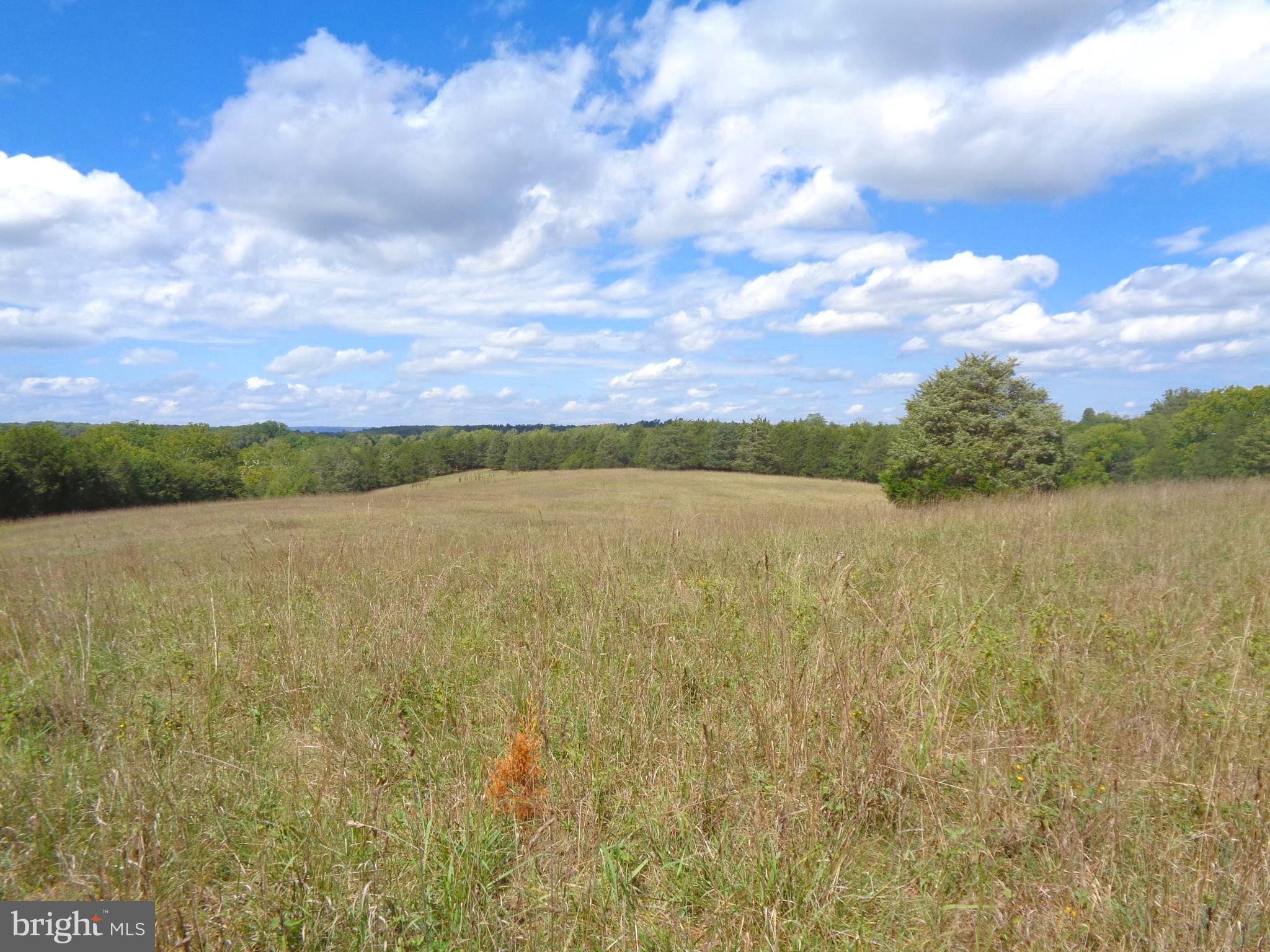 8 Cherry Meade Road Kearneysville, WV 25430 - Photo 17 of 18 Gallery Image 17