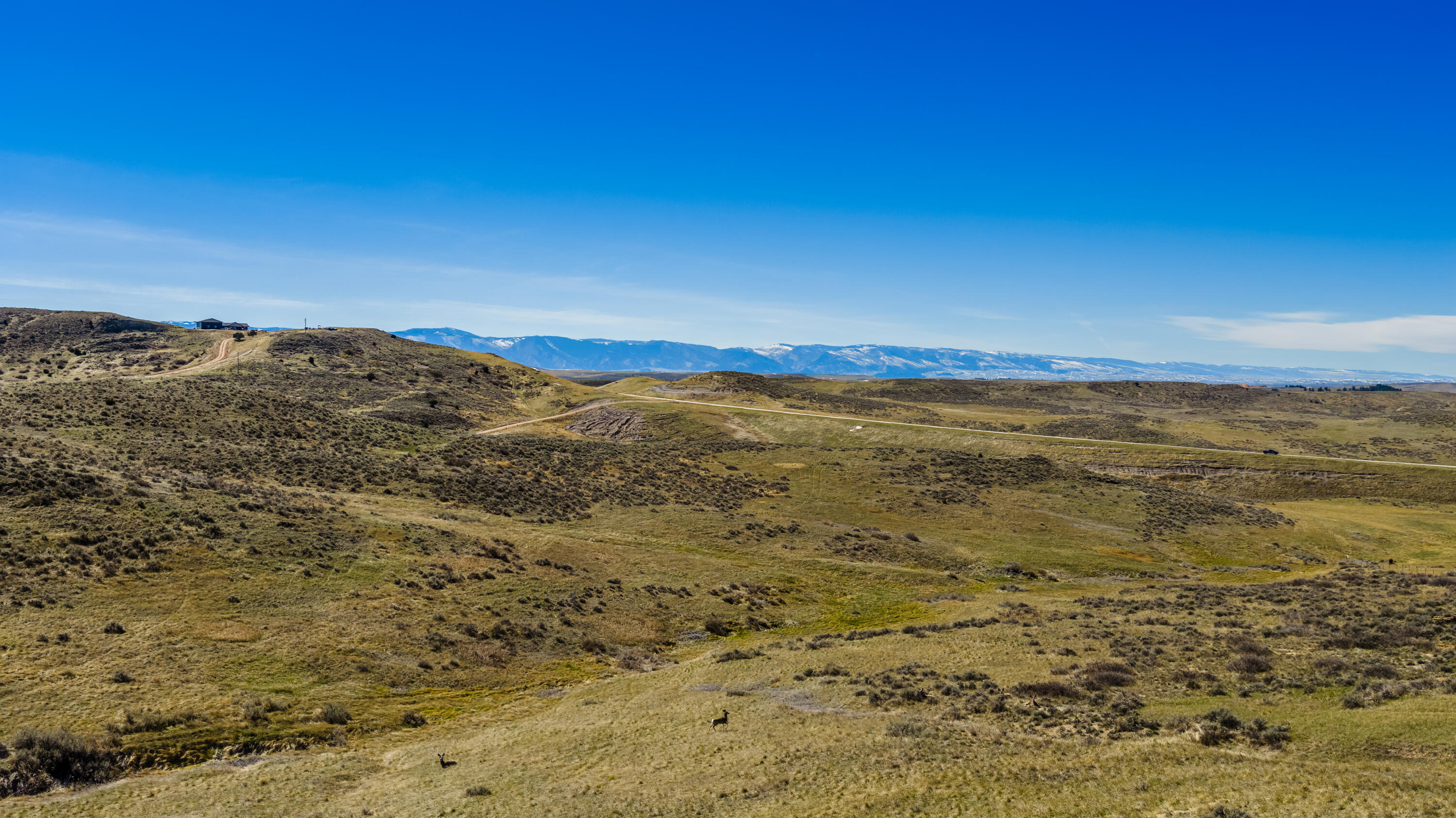 641 Decker Road Sheridan, WY 82801 - Photo 7 of 13 DJI_20260408143034_0409_D