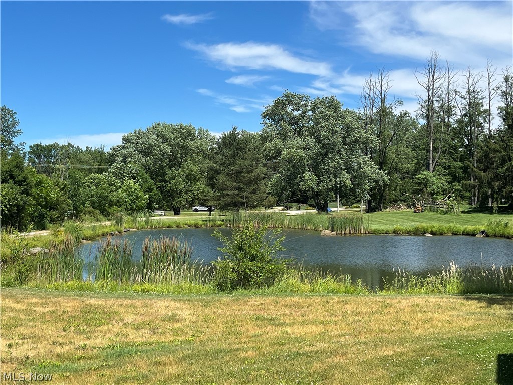 4842 Ridge Road Medina, OH 44256 - Photo 48 of 50 Beautiful pond