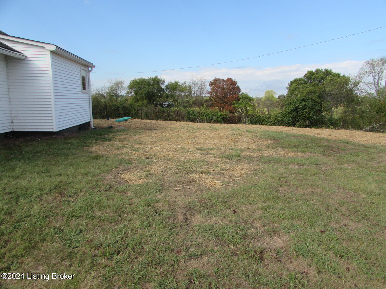 6570 Point Pleasant Road Pleasureville, KY 40057 - Photo 32 of 39 Back yard