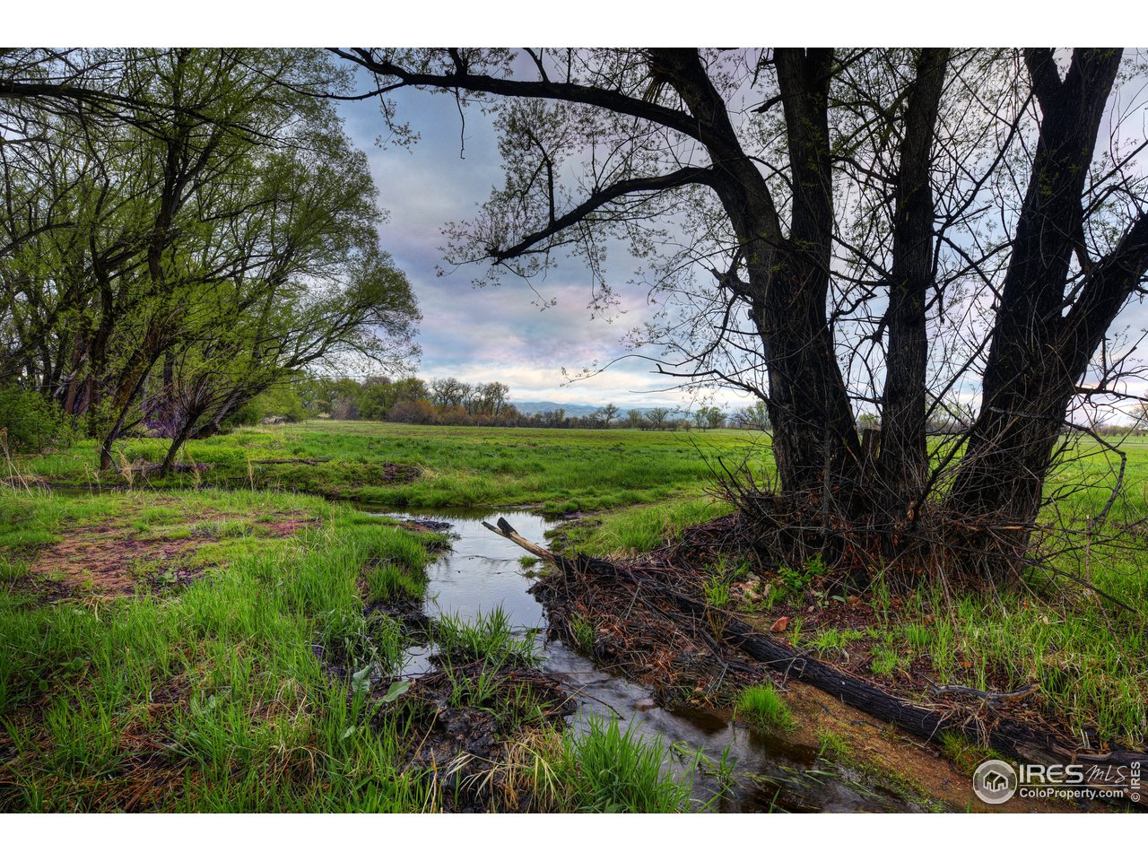 5163 Independence Road Boulder, CO 80301 - Photo 3 of 39 senior creek and ditch rights