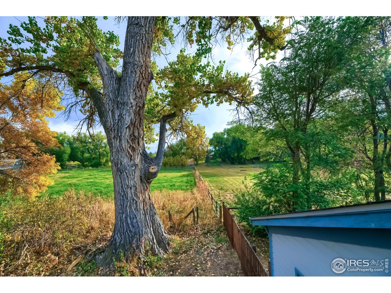 5163 Independence Road Boulder, CO 80301 - Photo 32 of 39