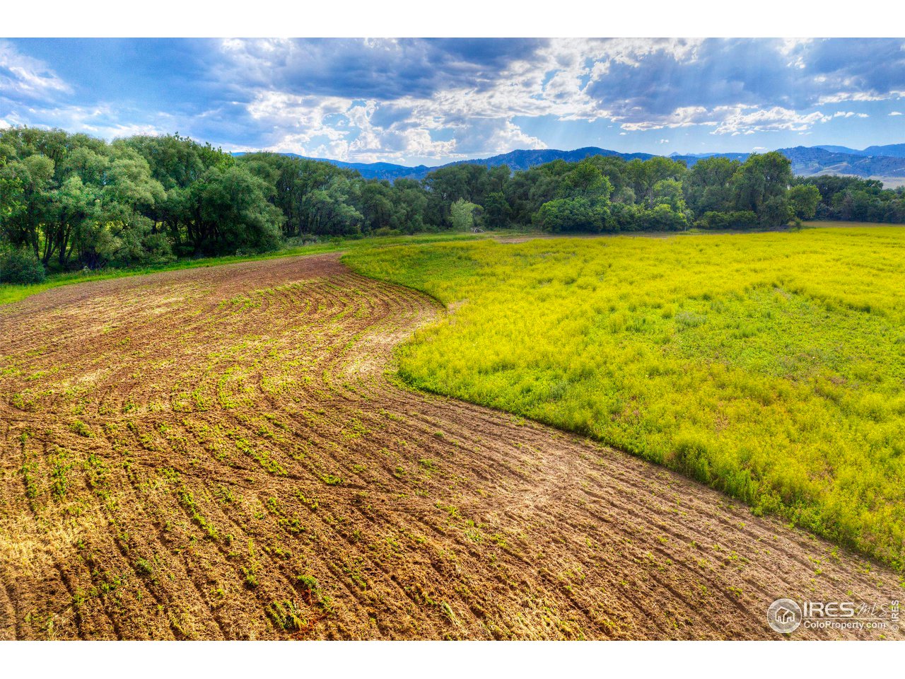 5163 Independence Road Boulder, CO 80301 - Photo 38 of 39