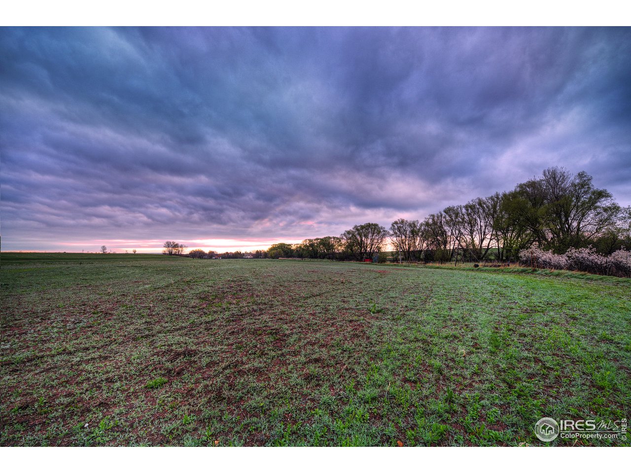 5163 Independence Road Boulder, CO 80301 - Photo 5 of 39 fertile, productive ground