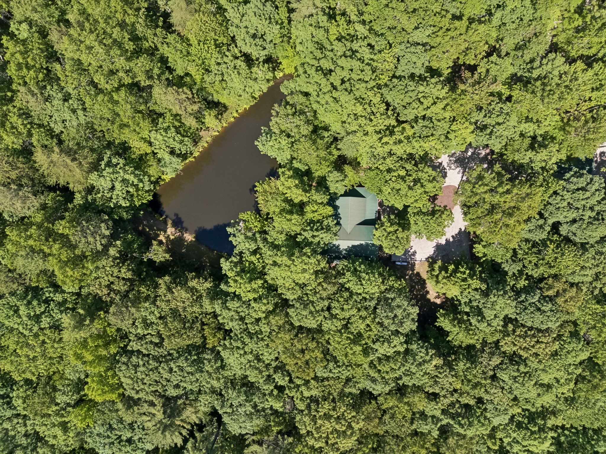 340 Doe Ridge Road Oneida, TN 37841 - Photo 96 of 99