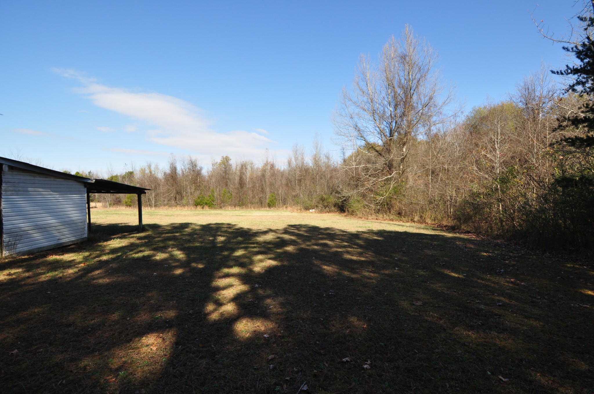 238 Putman Well Road Rockvale, TN 37153 - Photo 19 of 42 a view of road and yard