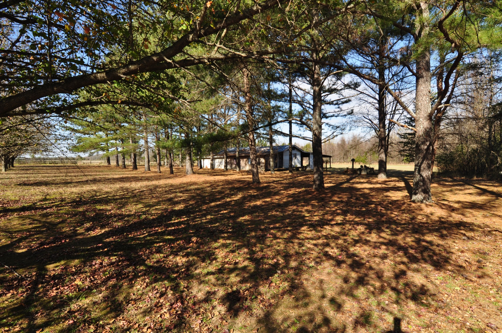 238 Putman Well Road Rockvale, TN 37153 - Photo 21 of 42 a view of road with trees