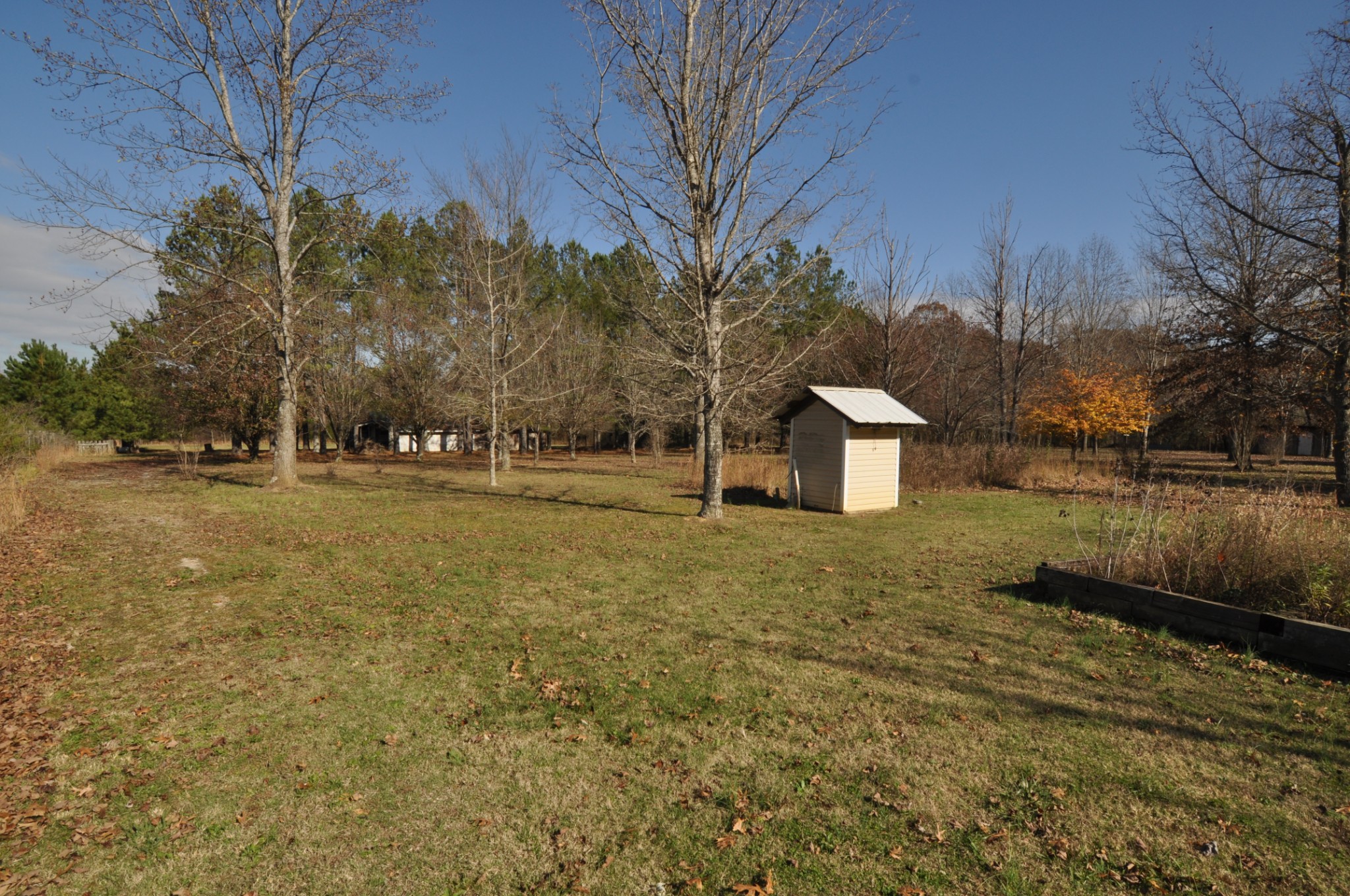 238 Putman Well Road Rockvale, TN 37153 - Photo 24 of 42 a backyard of apartments with large trees
