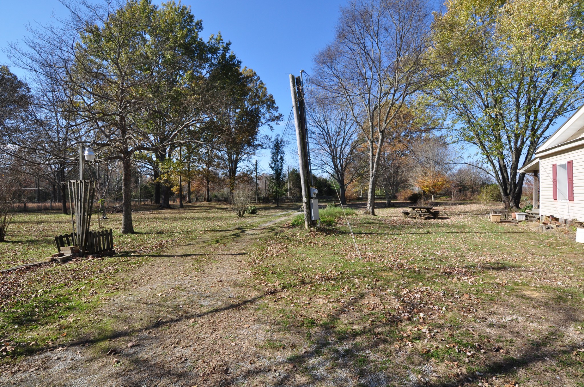 238 Putman Well Road Rockvale, TN 37153 - Photo 25 of 42 a view of yard with trees